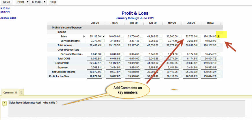 It Consulting Software: Accounting Software Used In Usa